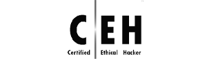 For more than 15 years, EC-Council's cybersecurity programs have empowered cybersecurity professionals around the world to exercise their training and expertise to combat cyberattacks.